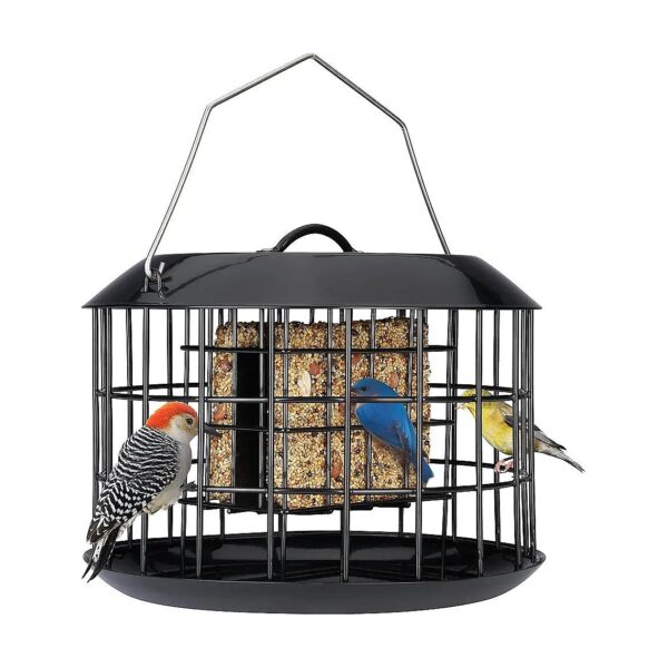 Quality Metal Squirrel Proof Bird Feeder with Double Suet Capacity for Outdoor Hanging