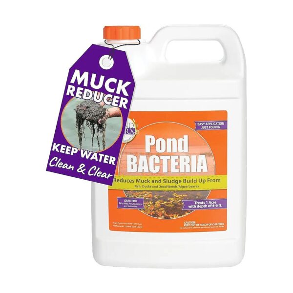 Rapid Dissolving Pond Bacteria for Large Ponds and Water Features - Safe for Fish