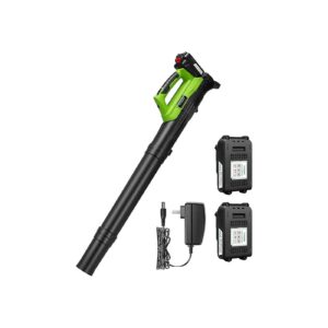 Rechargeable Leaf Blower with 2 x 20V Batteries and Fast Charger