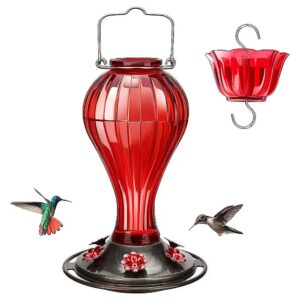 Red Glass Hummingbird Feeder with Perches and 6 Feeding Ports for Hummingbirds