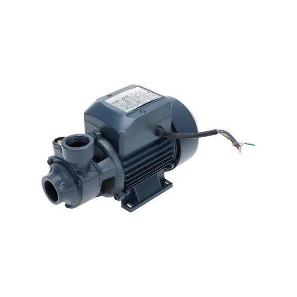 Reliable 1/2 HP Electric Water Pump for Surface Pumping of Clear Water