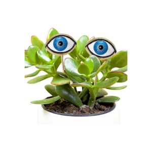 Resin Plant Stakes with Painted Eyeballs for Succulent and Greenery Planters