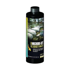 Safe and Effective Sludge and Muck Remover for Fish and Plants