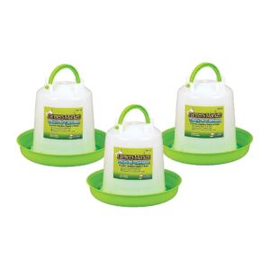 Sanitary and Durable Plastic Small Bird Waterer for Backyard Poultry Supply