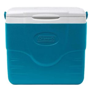 Sided Cooler Lunch Box for 9 Qt Capacity Fridge-Level Temperature Control