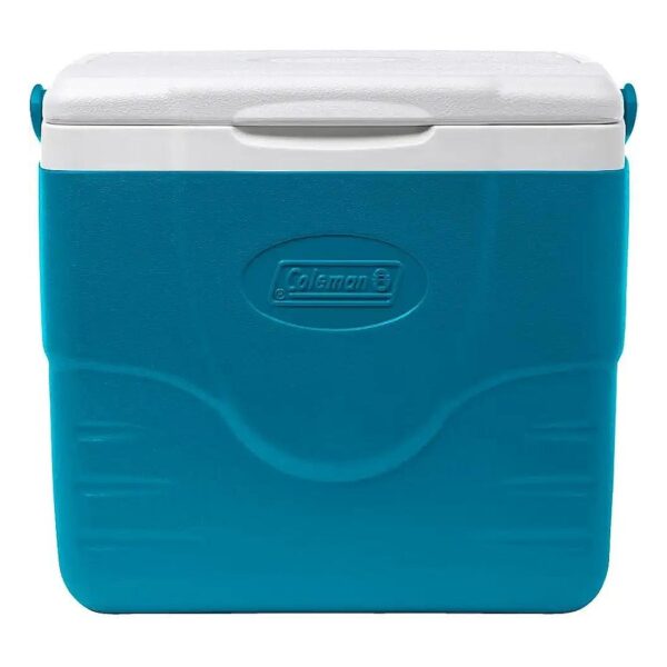 Sided Cooler Lunch Box for 9 Qt Capacity Fridge-Level Temperature Control