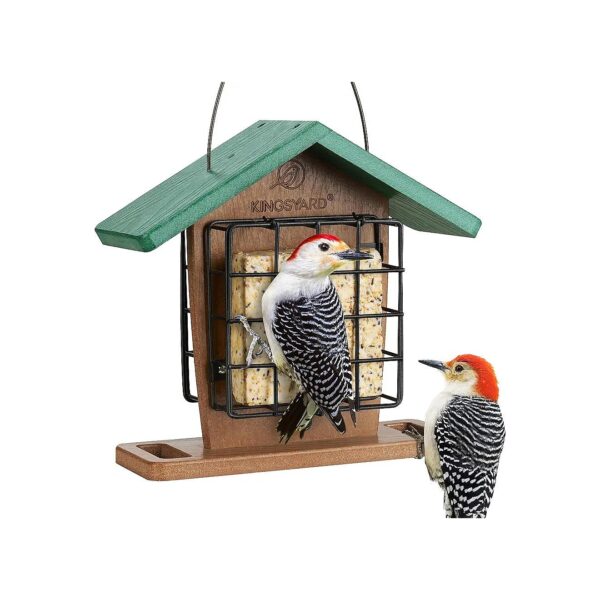 Sided Suet Bird Feeder with Stainless Metal Mesh and Cable Hanger for Outdoor Hanging