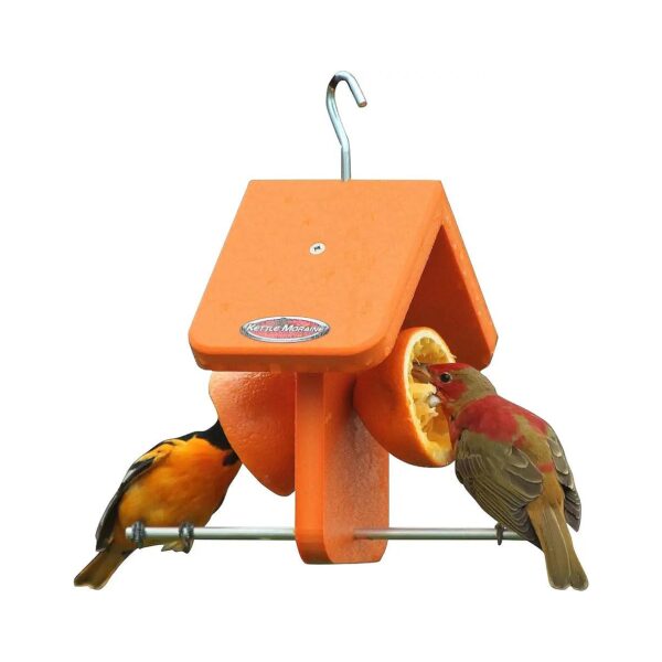 Single Oriole Fruit Feeder with Bright Orange Recycled Plastic Construction