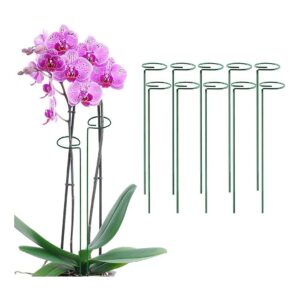 Single Stem Flower Plant Support Rings 24 inch Green For Gardening Pack of 10