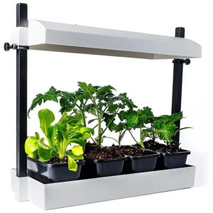 Small Space Indoor Garden with 11W 6400K Grow Light and Auto Watering Seedling Trays