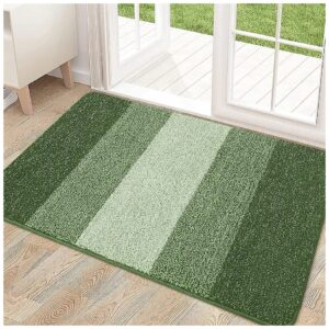 Soft and Absorbent Indoor Door Mat 32x20 for Entryway or Patio Floor Mat