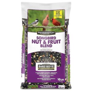 Songbird Healthy Feeding with 100 Percent Real Fruit Nuts and Seeds