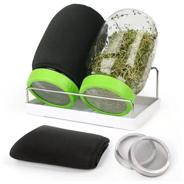 Sprouting Jar Kit for Growing Fresh and Delicious Bean Sprouts