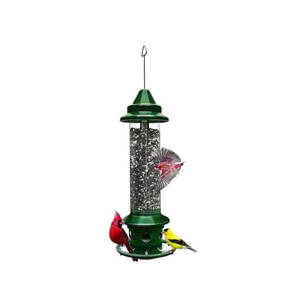 Squirrel Buster Seed Feeder for Cardinals with 6 Feeding Ports and 1-Pounds Capacity