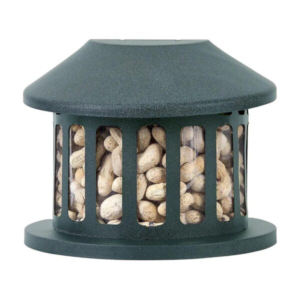 Squirrel Diner Feeder with Powder Coated Steel and Mounting Hardware