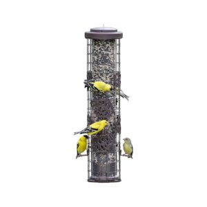 Squirrel Off Bird Feeder with Up to 75 lb Seed Capacity