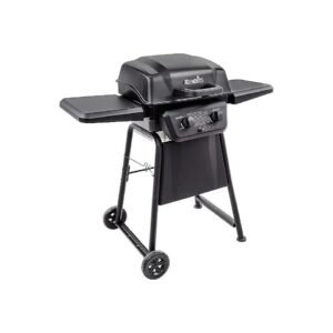 Stainless Steel 2-Burner Propane Gas Grill for Patio or Outdoor Cooking