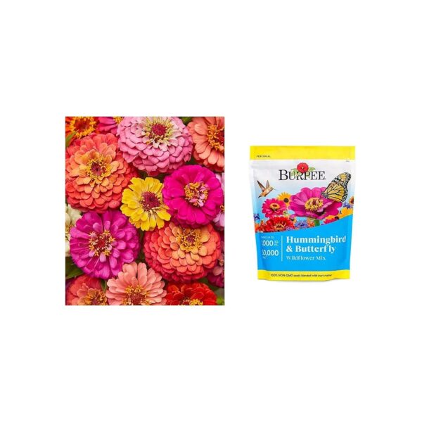 Stemmed Zinnia Seeds with Cut & Come Again Blooms for Hummingbirds and Butterflies