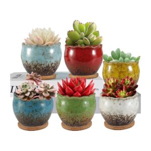 Stylish Ceramic Succulent Pots with Detachable Bamboo Saucers and Drainage Holes