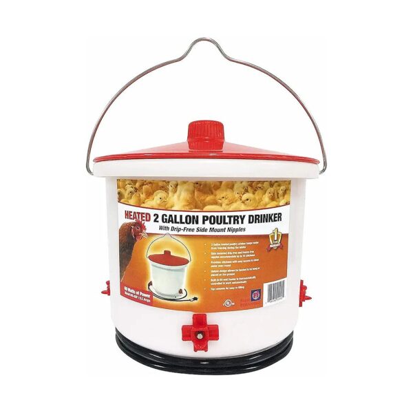 Thermostatically Controlled Heated Plastic Chicken Water Feeder for Year-Round Operation