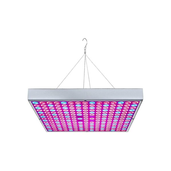 UV IR LED Grow Light 75W for Hydroponics and Indoor Plants like Tomatoes