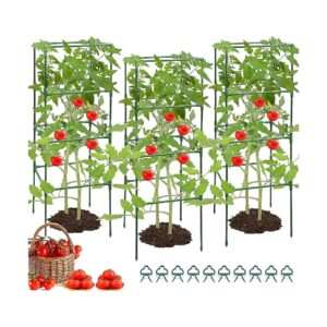 Upgrade Your Garden with Heavy Duty Tomato Cages