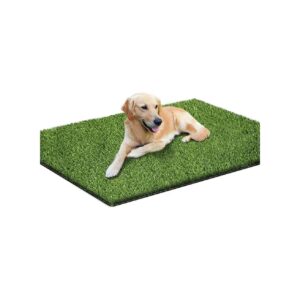 Use Green Artificial Grass Dog Mat 4 x 5 Inches Pet Potty Training Mat and Play Area Rug