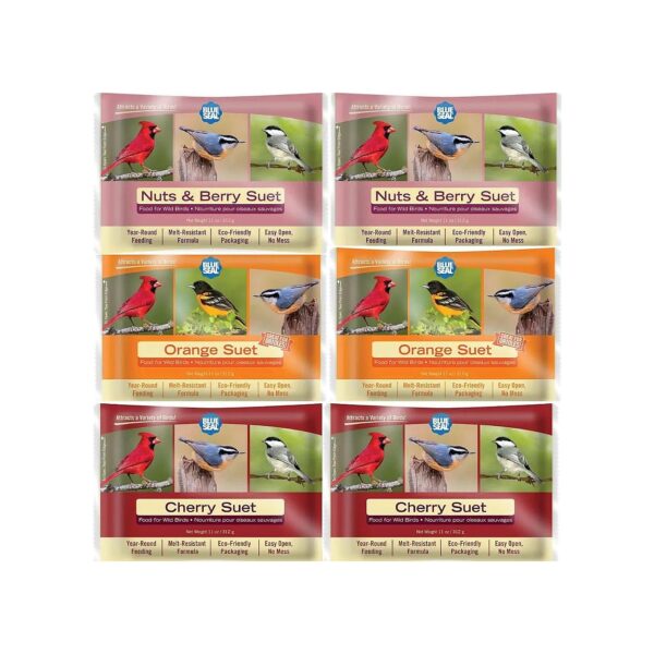 Variety Pack of 6 Suet Cakes for Wild Birds - Berry Blend Flavor