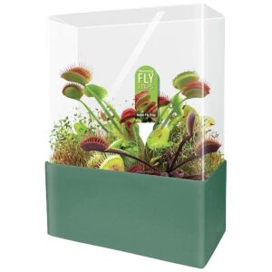 Venus Fly Trap Complete Kids Terrarium Kit for Growing Fascinating Carnivorous Plants