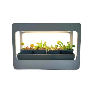 Venus Fly Trap Planter with LED Grow Light and Automatic Timer for Indoor Growing