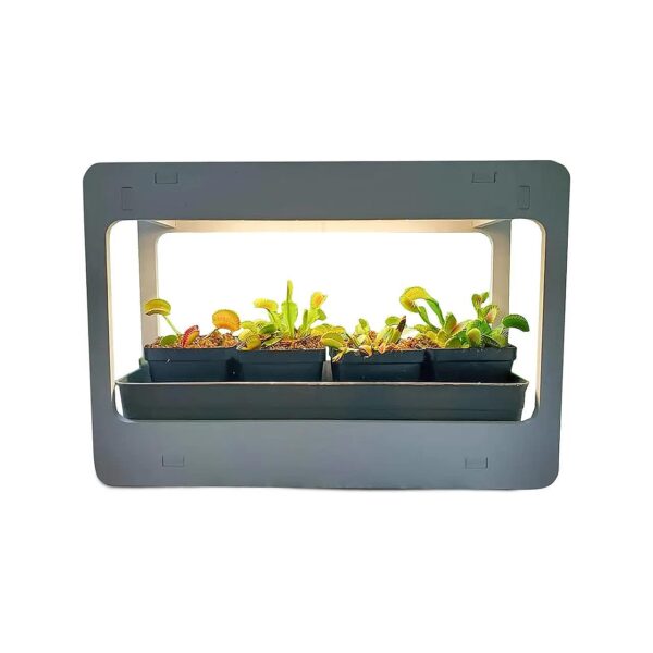 Venus Fly Trap Planter with LED Grow Light and Automatic Timer for Indoor Growing