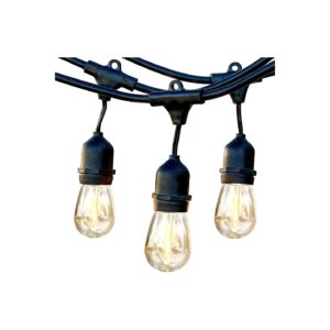 Vintage Edison Bulb LED String Lights for Patio and Backyard Decoration