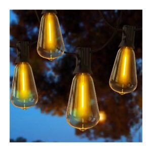 Vintage Edison Bulbs LED Outdoor String Lights for Backyard Gazebo and Patio