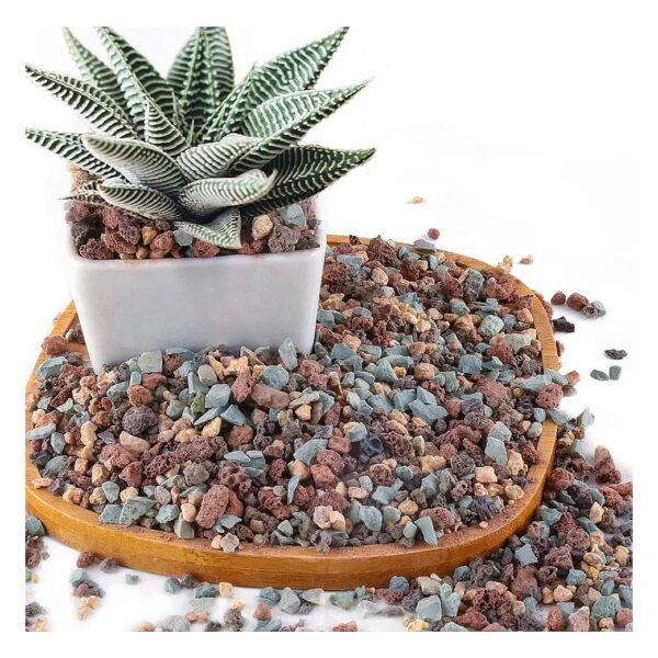 Volcanic Rock for Succulent and Cactus Planting with Superior Water Drainage