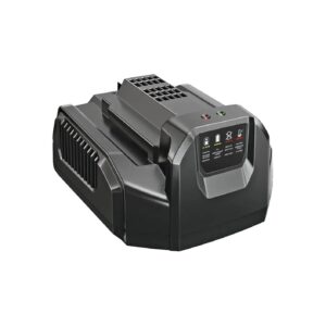 Volt Lithium-Ion Battery Charger with LED Indicators for Quick Refueling