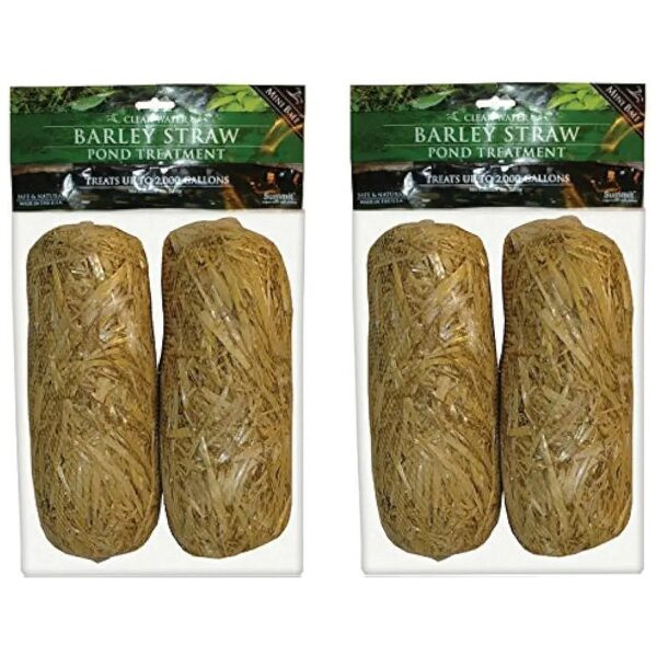 Water Barley Straw Bales for Pond Water Treatment, 2 Packs of 2-4 Total