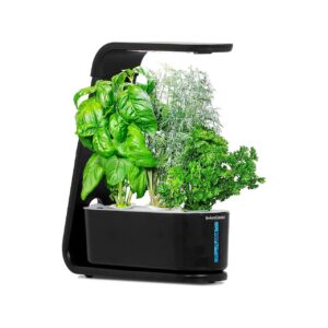 Water-Based Indoor Garden for Growing Fresh Herbs and Leafy Greens with LED Lighting