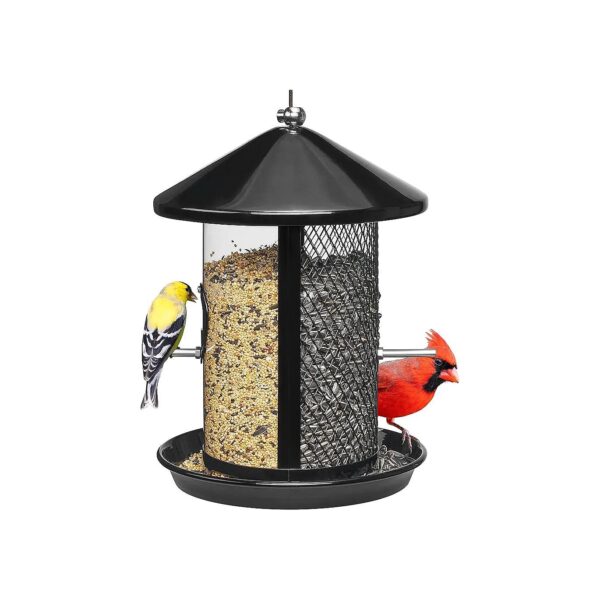 Weather Resistant Metal Bird Feeder for Mixed Seeds with Dual Chamber and 4 lbs Capacity