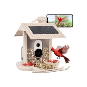 Weatherproof Bird Feeder Camera with Solar Power and Instant Notifications