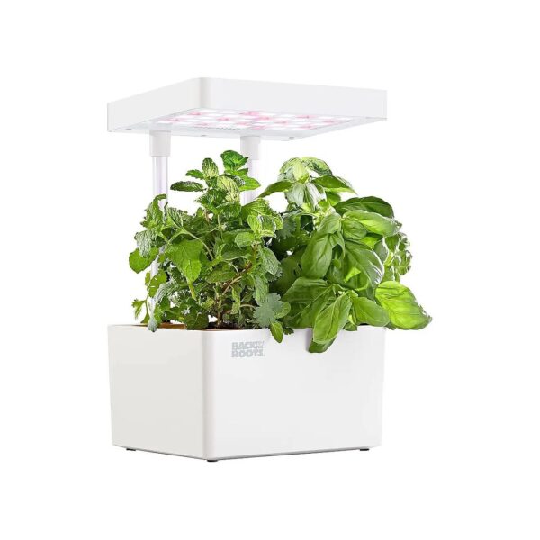 White Hydroponic Grow Kit with LED Lights and Organic Seeds for Indoor Gardening