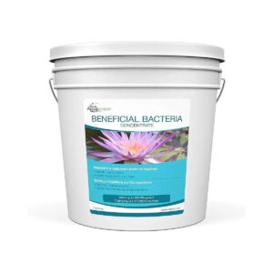 Whole Pond Water Treatment with Beneficial Bacteria Solution