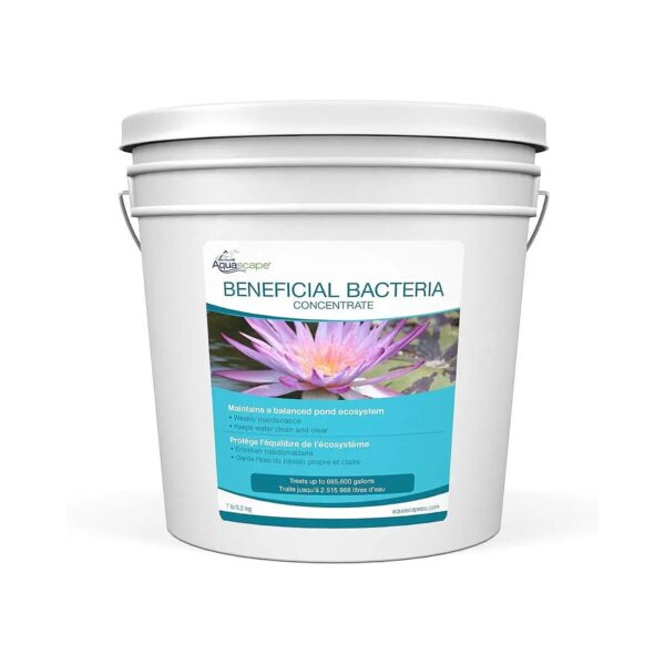 Whole Pond Water Treatment with Beneficial Bacteria Solution