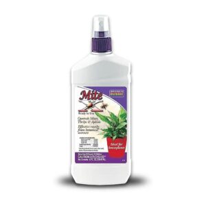 X Ready-to-Use Spray for Houseplant Insect Control