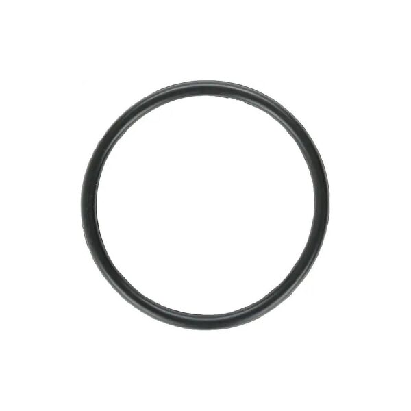 Zodiac Nature2 Rubber O-Ring Replacement for DuoClear Sanitizers