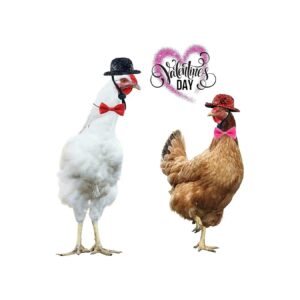 s Day Chicken Costumes for Hens and Roosters with Red and Pink Mini Hats and Bowties