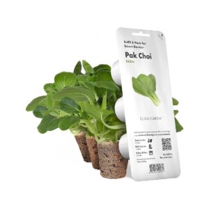 to-Grow Pak Choi Plant Seeds for Year-Round Harvest with Smart Garden System