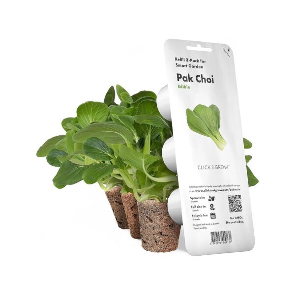 to-Grow Pak Choi Plant Seeds for Year-Round Harvest with Smart Garden System